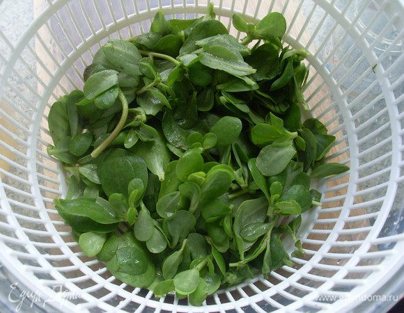 Помыть портулак, оборвать листочки, обсушить в сушилке для салата (он очень нежный).