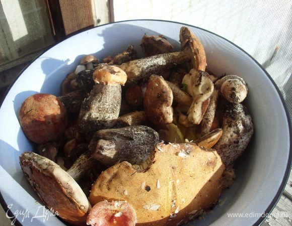 Ножиком очищаем грибы от земли и листочков.