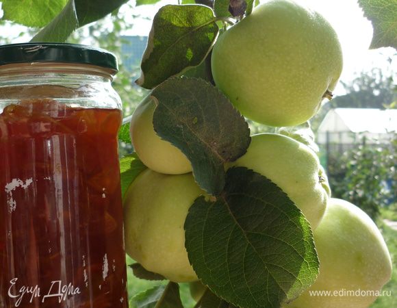 вот она, последняя фотография моей любимой летней антоновки. самое ароматное варенье было именно из нее...