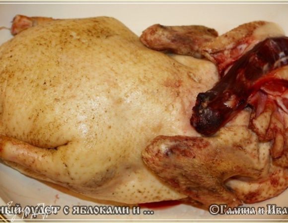 … поле для экспериментов есть. Да и на проверенные рецепты хватит!
Вот такая тушка…, вскормленная домашним, из сепарированного, правда, молока, творогом, чистейшим зерном и свежей травкой … осмоленная газовой горелкой (а нет у нас ржаной соломы…, увы).
