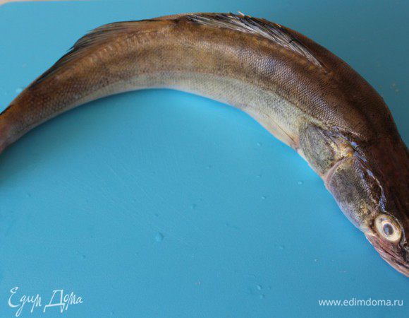 Вот такого судака я   сегодня "поймала" в ближайшем супермаркете...