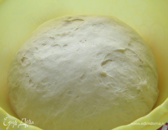 Перекладываем в смазанную маслом миску, накрываем и оставляем подходить в теплом месте 1,5-2 часа.