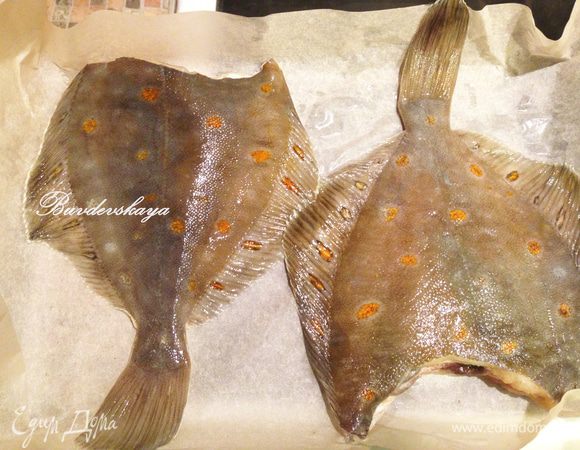 Форму для запекания застелить пергаментом, сверху выложить обработанную камбалу.