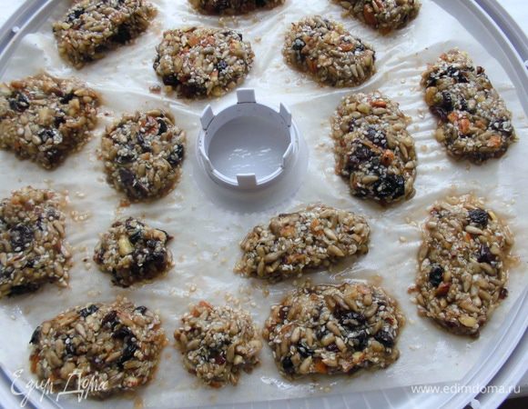 Тщательно перемешать все ингредиенты и выложить на листы дегидратора (сушилки) либо на противень, выстеленный бумагой для выпечки. Ложкой сформировать батончики (нужно придавать форму руками). Сушить при температуре 40 градусов около суток. У меня они высохли быстрее, т. к. температура была выше. Либо сушите в духовке при небольшой температуре, приоткрыв дверцу. 