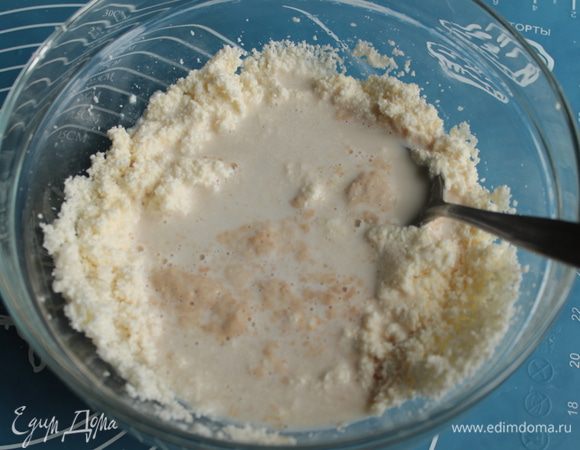 активированные в теплой сыворотке дрожжи.