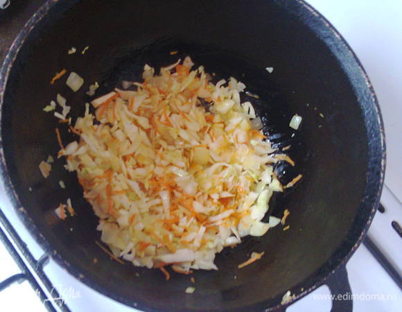 Нагреть немного подсолнечного масла в сотейнику. Поджарить лук. всыпать капусту и морковку, посолить, тушить до готовности. Можно добавить лавровый листик и пару горошин черного перца.