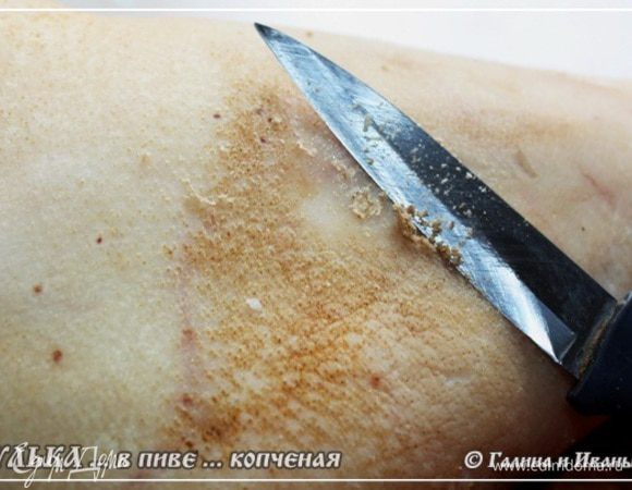Рульки от свиньи домашней. А когда их, свиней, простите, режут, то потом шкуры опаливают. Поэтому первым делом надо хорошо почистить шкуру. Окалина – не окалина, но лишнее вовсе ни к чему.
