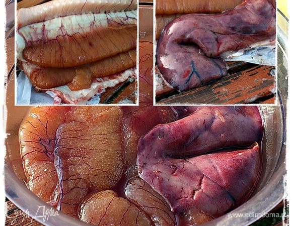 Вот что лично меня удивило!!! Я ни разу не ихтиолог и рыбак, впрочем, тоже никакой. Думал что нерест – это весна. А тут конца октябрьская щука, а икры в ней … много было икры. И печень неслабая такая. Большая печень. Я бы сказал – огромная. Может рыбка того? Пивко уважала чрезмено. С водовкой? А? Кто знает? Какие будут мнения?
Икру тоже отправили в уховый пакет. Не стали солить.
