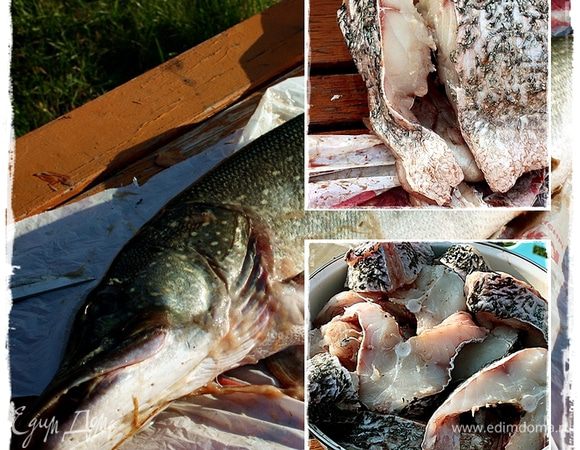 « … нарезать кусками … »©
Кстати охвостье и оголовье тоже в тот же пакет пошло. К ухе.
