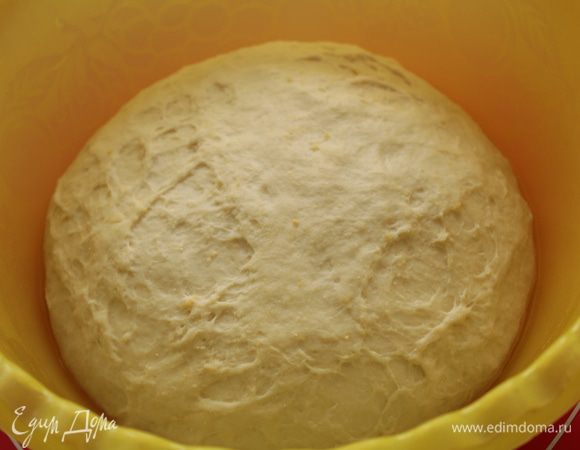 из перечисленных ингридиентов замесить тесто,поставить в теплое место на час.