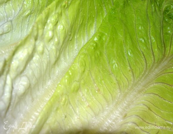 Листья салата промыть,высушить и порвать руками на кусочки среднего размера.