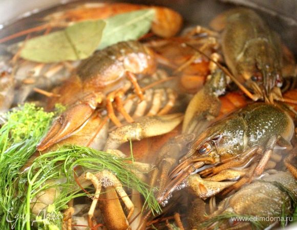 Раков хорошо промыть. Два литра воды довести до кипения, посолить и сдобрить лавровым листом, перцем и укропом. В эту кипящую воду опустить раков, довести до кипения  и варить после около 4-5 минут. Слить воду, удалить зелень и специи и немного остудить раков.