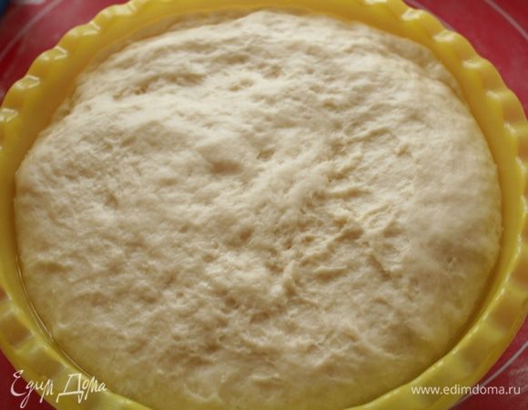 Тесто очень хорошо поднимается.