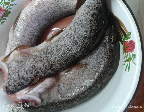 Возьмите щуку, выпотрошите, и удалите головы.