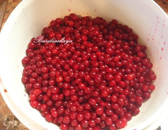 Калину переберите, удалите листики, веточки, мусор и испорченные ягоды. Переложите в дуршлаг и тщательно промойте.