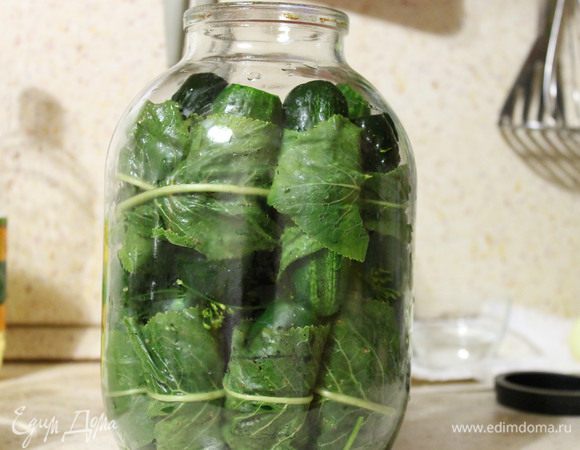 Затем берем и заворачиваем каждый огурец в листик хрена, и кладем его в банку, поплотнее друг к другу. Как только банка заполнится огурчиками, сверху кладем еще 2-3 зонтика укропа.