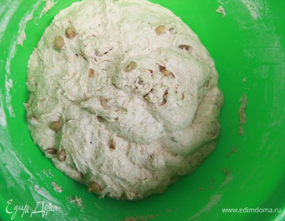 Добавить соль, разведённую в оставшемся количестве воды, вымешивать 10 минут.