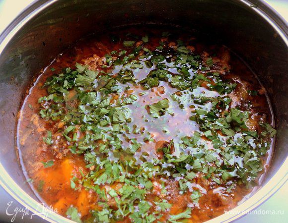 За 20 минут до готовности отделить мясо от костей, что очень легко сделать, вернуть его в кастрюлю, посолить по вкусу. Готовое блюдо посыпать мелко нарезанной зеленью.