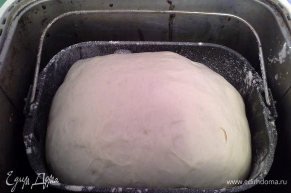 Замешиваю тесто, я это делаю в хлебопечке. Кладу воду, дрожжи, сахар, соль, масло, муку, замешиваю, расстаиваю, примерно час.