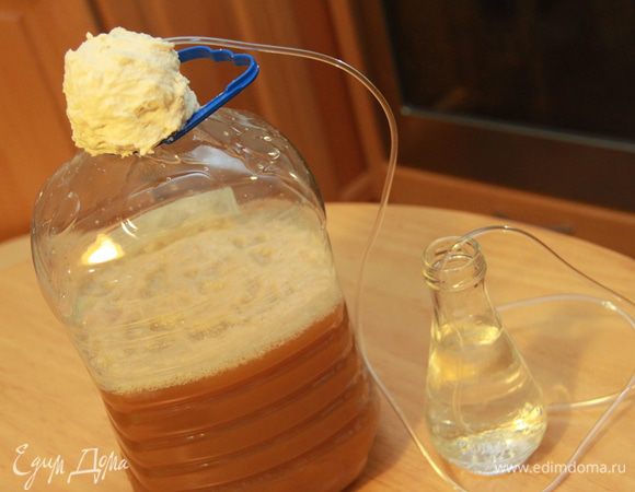 Яблочный сок с сахаром наливаем в 5-литровый бутыль с гидрозатвором. Гидрозатвор делается просто: в крышке проделать отверстие диаметром равным диаметру трубки; вставить трубку (у меня от системы, в народе называется капельница), замазать крышку вместе со вставленной трубкой простым тестом; другой конец трубки положить в ёмкость с водой, чтобы газ выходил в воду). Гидрозатвор ставят для того,чтобы углекислый газ выходил из жидкости, не соприкасаясь с воздухом, иначе сок скиснет, и получится не сидр, а уксус. Через 3 недели сидр сливаем с помощью сифона (у меня не было сифона, слила очень аккуратно без него). На дне бутыли остаётся муть, выливаем её прочь. 