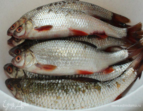 Если вы покупаете рыбу в магазине или на рынке, а не выловили ее сами,  обязательно проверьте ее свежесть... Жабры должны быть розовыми и без налета, а взор рыбины должен быть ясным. Никаких мутных глаз!!!