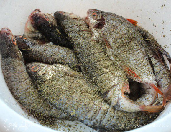 Обработанную рыбу сложить в глубокую чашку, посыпать солью, перцем и сухим тархуном. Хорошо перемешать.