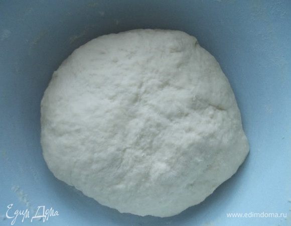 Когда дрожжи с молоком начнут пузырится, добавим соль,сахар, картофельное пюре, яйцо и муку. Замесим тесто,затем постепенно вмешаем сливочное масло. Замесим эластичное тесто(по надобности  подсыпая муки на стол). Оставить тесто в теплом месте, накрыв полотенцем, часа на 1.5