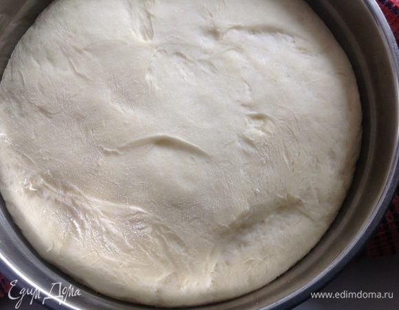 Вот так тесто у меня поднялось через час!
