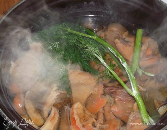 Добавляем укроп и варим 25 минут.