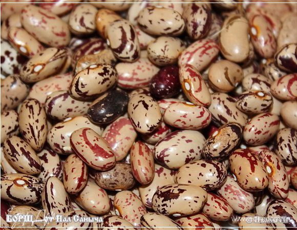 Фасоль. Возьмём вот такую. Пестренькую. Даже и на съедобное-то не похоже. Вот же мать наша … ПРИРОДА!!! Такую красоту создает.