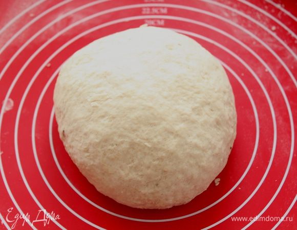 Замесите тесто. Придайте тесту форму шара, смажьте чашку  растительным маслом и положите туда тесто.
Накройте пленкой и дайте подняться в течение 1 часа в тёплом месте.