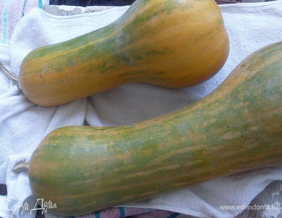 От тыквы отрезать "горлышко" - в нем нет семян, оно цилиндрической формы. Срезать с него кожуру, убрать верхушку с плодоножкой. Нарезать поперек - кружками толщиной не менее 1 см. 