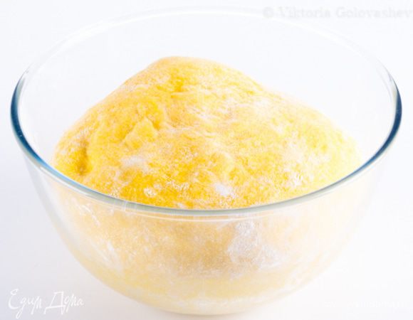 Оставьте подниматься на 1 час в теплом месте, прикрыв миску полотенцем. Тесто увеличится в 2 раза или даже больше.