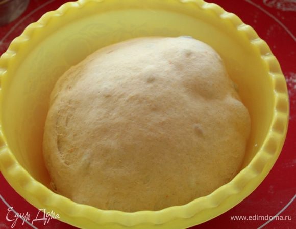 Тесто переложить в миску, смазанную маслом. Поставить в теплое место на 1 -1,5 часа. Один раз обмять через 30-40 минут. 