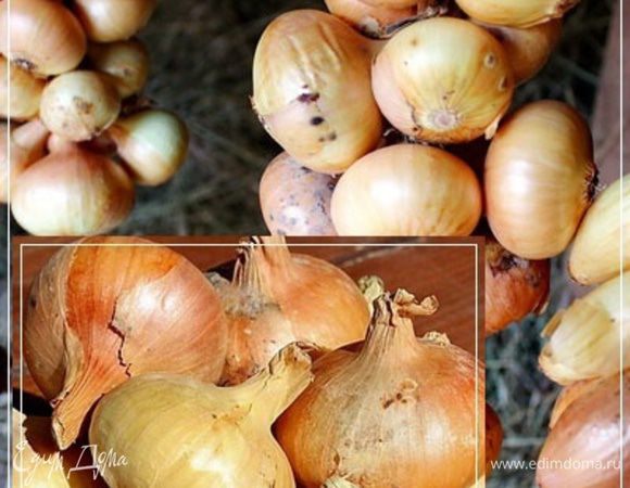 Теперь о прочей овощной составляющей. Она практически стандартная. И совершенно несложная. В смысле комплектования. Такой набор есть в любом доме, где готовят еду.
Картошку крупно резать не надо. Почистить, конечно, не мешает.
Лук. Слазим на сеновал за луковками, он у нас там живет. В сухости и среди летних ароматов разнотравья.
