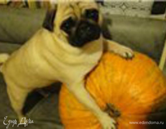 Одна из чудных тыкв, которую я вырастила с моей любимицей . Она у нас специалист по выращиванию тыкв. 