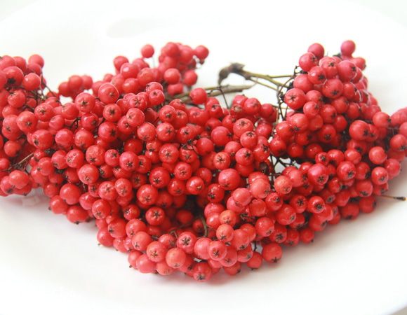 Спелую рябину вымыть, перебрать, удалить веточки.