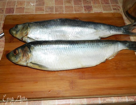 Сельдь разморозьте, удалите жабры, промойте водой.