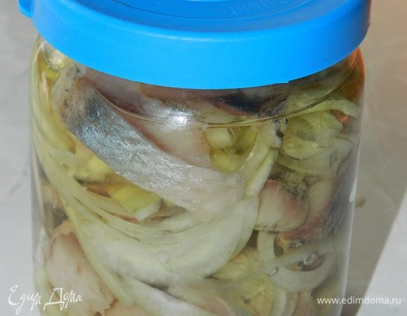 В банку уложите слоями лук — сельдь — лук. Залейте растительным маслом, закройте крышкой и поставьте в холодильник.