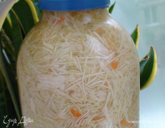 Попробуйте капусту через 2 дня. Если хочется покислее, подержите еще 1 день, затем храните в холодильнике.