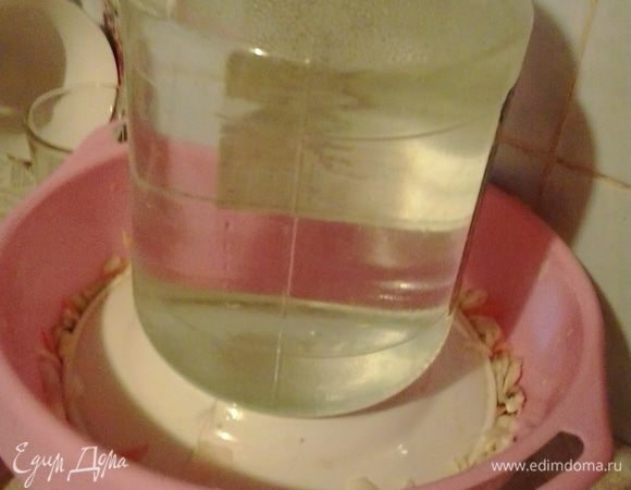 Капусту перетираем с солью и укладываем в глубокую миску, чередуя с яблоками, грибами и тмином. Сверху кладем тарелочку  и гнет (у меня вместо гнета была банка с водой).
Через 3-4 дня капуста готова. Я подавала ее, полив оливковым маслом и посыпав укропом и зернами граната. Приятного аппетита!!!