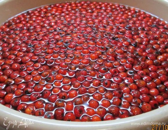 Ягоды снять с веток, перебрать. Залить водой и выдержать сутки, поменять воду 3 раза.