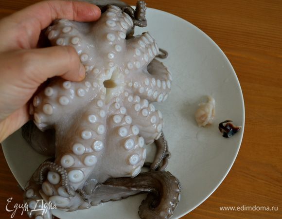 Поставить на огонь закипать большую кастрюлю с водой... Почистить овощи, нарезать крупными брусочками морковь и корень сельдерея, надрезать луковицу и добавить все овощи вместе со специями в кастрюлю с водой. Посолить и добавить белое вино (можно заменить на белый винный уксус, немного). Осминога вымыть под проточной водой. Удалить "клюв". Можно немного отбить скалкой... 