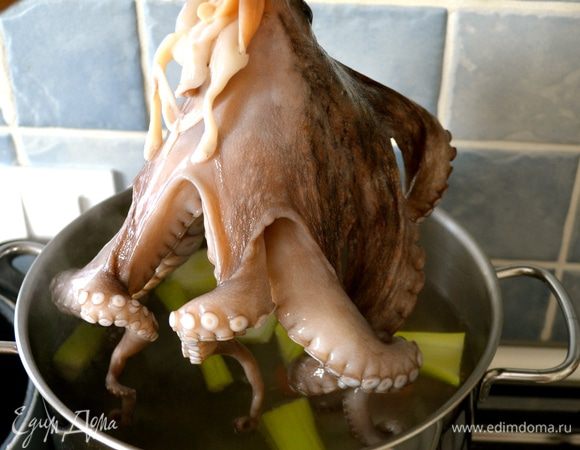 Как только вода закипит, держа осьминога за голову, погрузить и достать его 3 раза в кипящую воду, на третий раз оставить в кастрюле вариться. Уменьшить огонь до среднего и варить примерно 50 минут (из расчета 45 минут на 1 кг).
