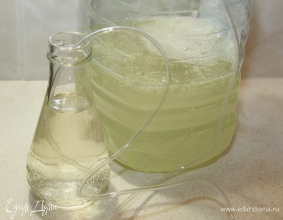 Соединить воду, сахар, дрожжи и имбирно-лимонную смесь. Дальше делаем гидрозатвор (подробнее об этом в рецепте сидра (http://www.edimdoma.ru/retsepty/58811-yablochnyy-sidr) и оставляем смесь в тёплом месте на брожение на 2 дня.