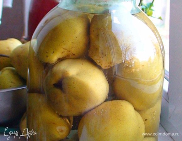 Закатать. Перевернуть банку вверх дном и укутать до полного остывания.