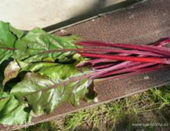 Свекольные листья промываем, замачиваем в холодной воде на 1-2 часа. (Замачивать необходимо только в случае если листья покупные чтобы избавиться от специфического запаха, выращенные в домашних условиях достаточно просто промыть под холодной водой)