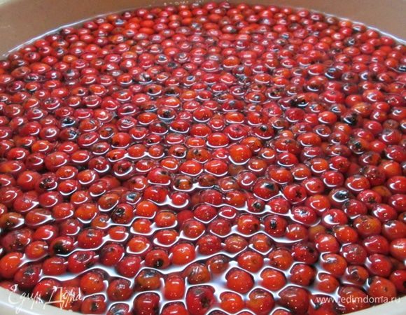 Ягоды снимаем с кисти, перебираем. Замачиваем в холодной воде на сутки. Воду за это время необходимо менять 3-4 раза.
