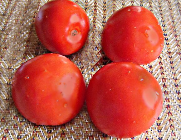 Подготовить, помыть помидоры.