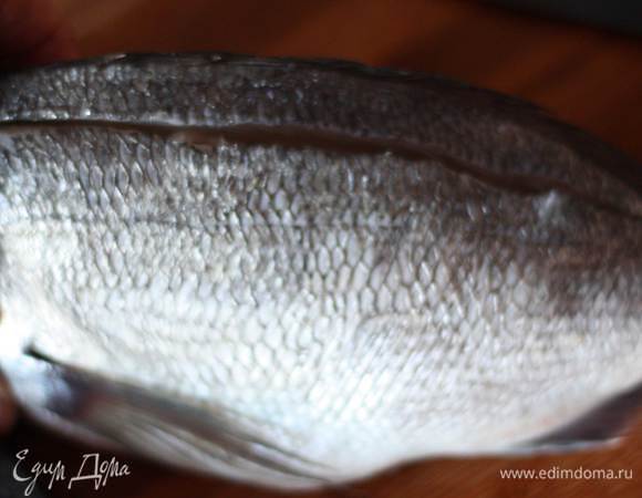 Для начала разделаем рыбу. Рыбу вымыть, очистить от чешуи и ополоснуть водой. Удалить жабры. На спинке сделать 2 глубоких надреза вдоль хребта (не прорезая рыбу насквозь).